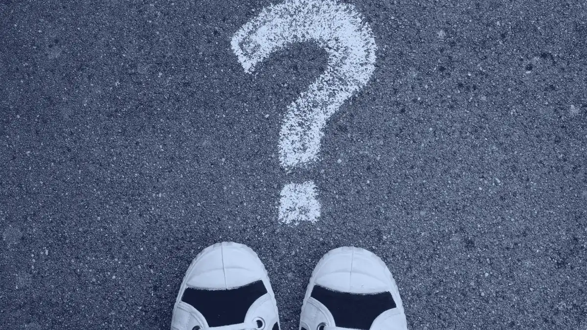 Twenty Questions